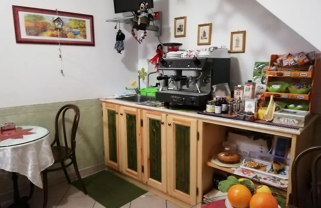 Anticarua B&B-1